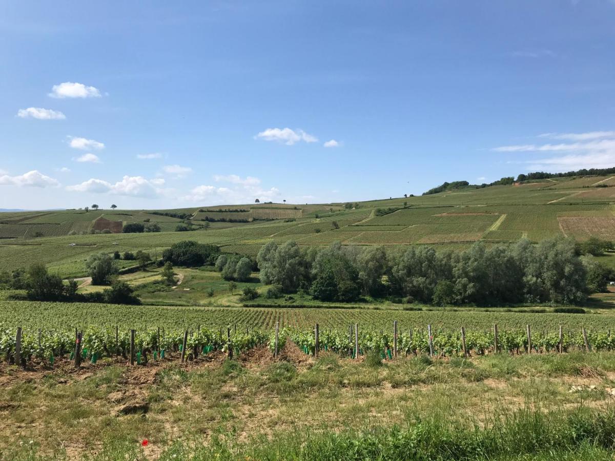 Montagny-les-Buxy Villa Figue Blanche المظهر الخارجي الصورة